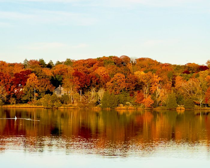 Saugatuck River photo, nature, river photo, westport ct photo, nature photo, nature photography