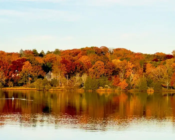 Saugatuck River photo, nature, river photo, westport ct photo, nature photo, nature photography