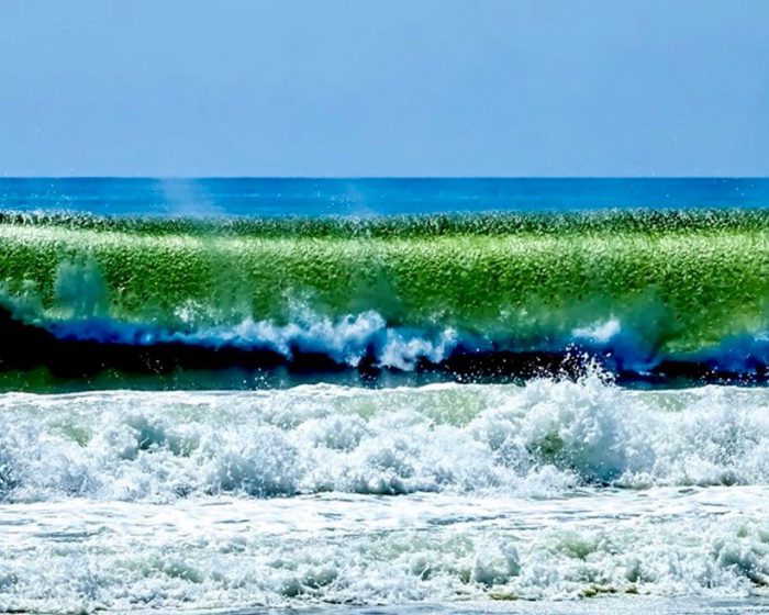 Waves, waves photo, ocean photo, Amagansett NY photo, beach, beach photo, Hamptons NY photo, Hamptons NY