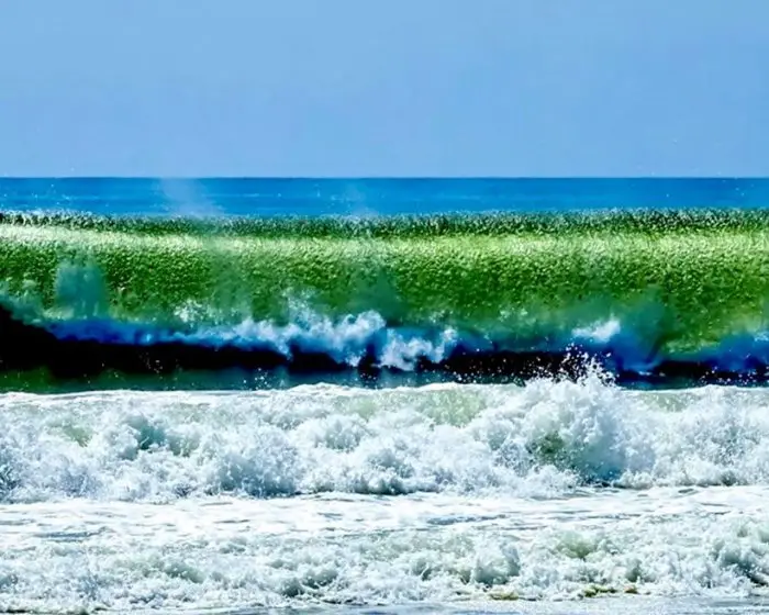 Waves, waves photo, ocean photo, Amagansett NY photo, beach, beach photo, Hamptons NY photo, Hamptons NY