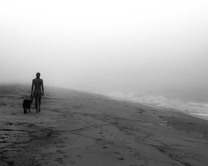 Fire island beach, fire island beach photo, fire island beach photography, beach, beach photo, dog