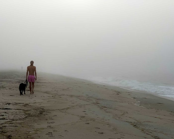 Beach photo, beach photography, dog photo, fire island photo, fire island beach, fire island beach photo, fire island beach photography