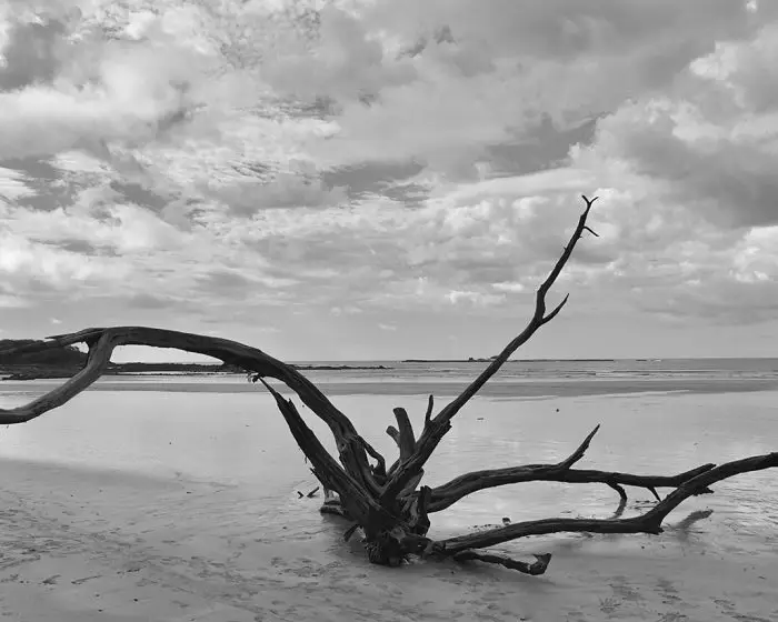 Tamarindo beach photo, Tamarindo beach, Costa Rica beach, beach, beach photo, beach photography