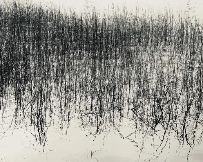 Sea grass, sea grass photo, westport ct photo, water, water photo, nature, nature photo, nature photography