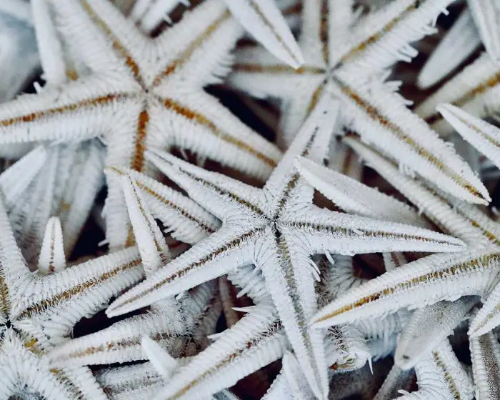 Beach photo, beach photography, beach, ocean, sea,