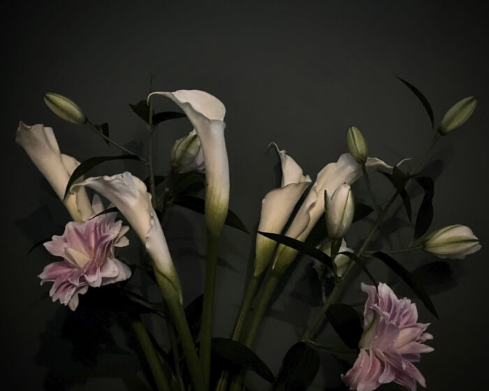 Flowers, photography, photograph, nature, nature photography