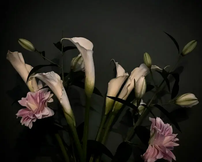 Flowers, photography, photograph, nature, nature photography